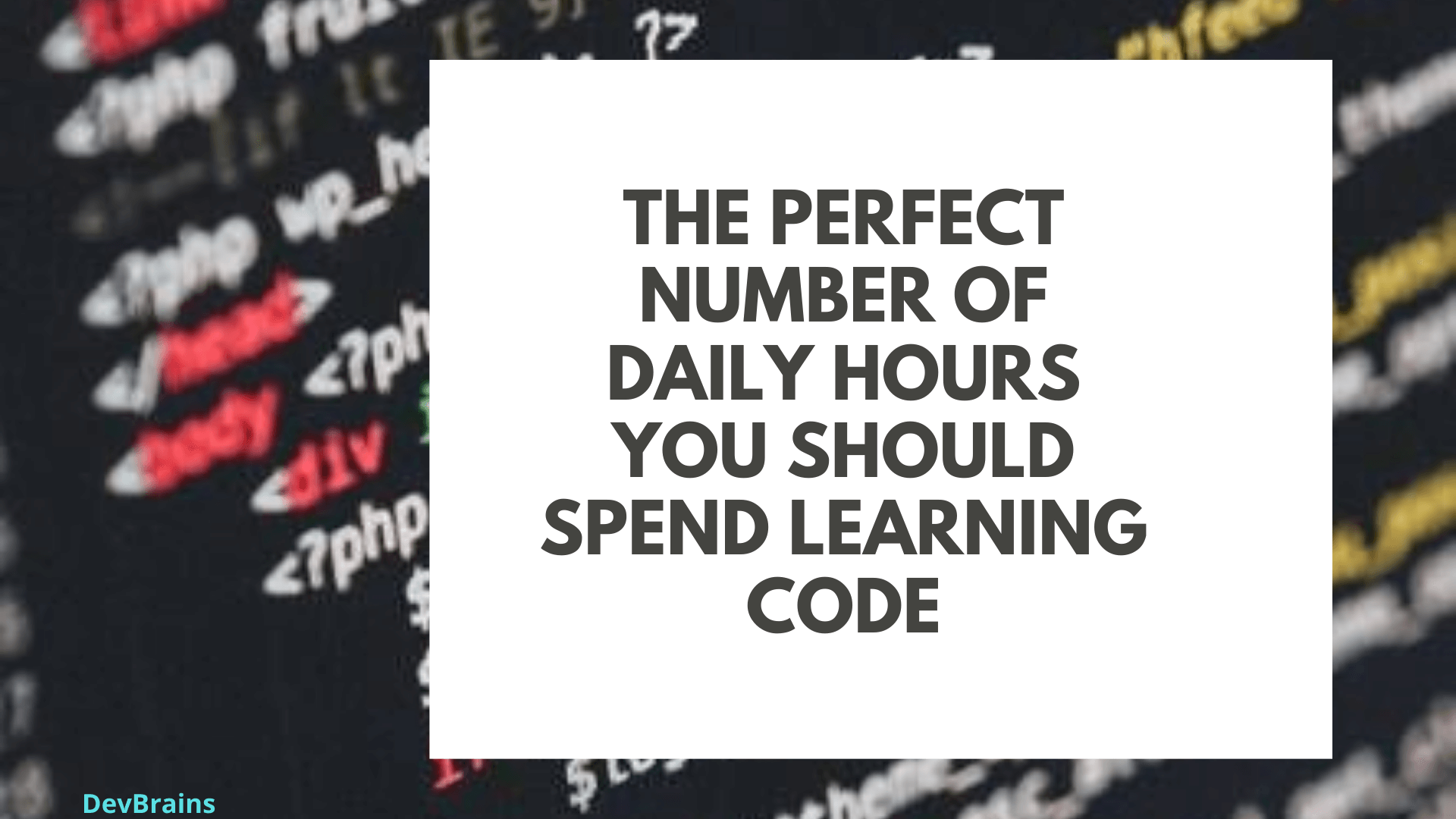 The Perfect Number of Daily Hours You Should Spend Learning Code
